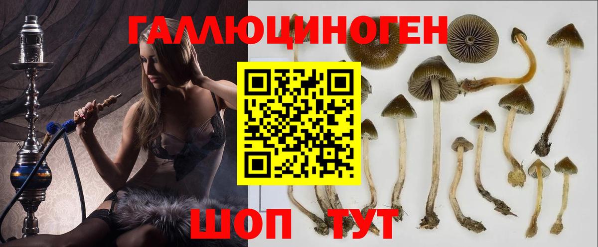 Ефремов  Псилоцибиновые грибы MAGIC MUSHROOMS  где можно купить наркотик  Вход с VPN 