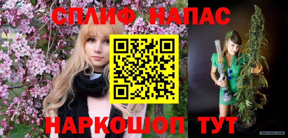 Бошки Шишки марихуана Ефремов